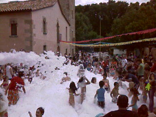 FESTA DEL BARRI DE CAN BORRELL